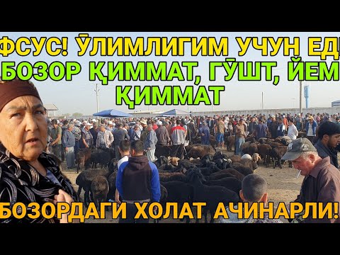 Видео: ӮЛИМЛИК УЧУН ПЕНСИЯМ ЙЕТМАДИ. ҚӮЗИ ВА ҚӮЙ НАРХЛАРИ. ҚАШҚАДАРЁ ҚАРШИ. 16-СЕНТАБР 2025-ЙИЛ