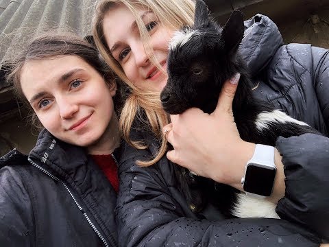 Видео: VLOG Впервые приехала в село