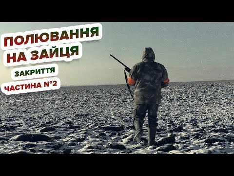 Видео: Полювання на зайця - Закриття частина № 2