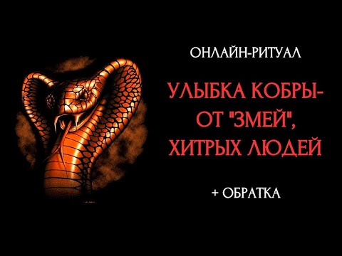 Видео: УЛЫБКА КОБРЫ - ЧИСТКА ОТ "ЗМЕЙ"l ОНЛАЙН-РИТУАЛ С ОБРАТКОЙ
