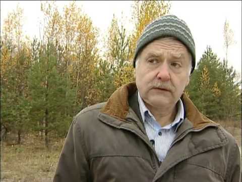 Видео: Удивительные и загадочные места Ленинградской области. Фильм 14