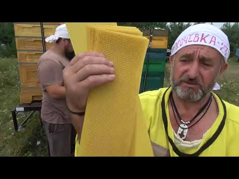Видео: Перетопка воска, приготовление  сиропа и закормка.