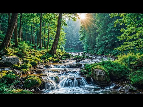 Видео: Целебная музыка для души 🌿 Успокаивающие звуки, чтобы перестать слишком много думать