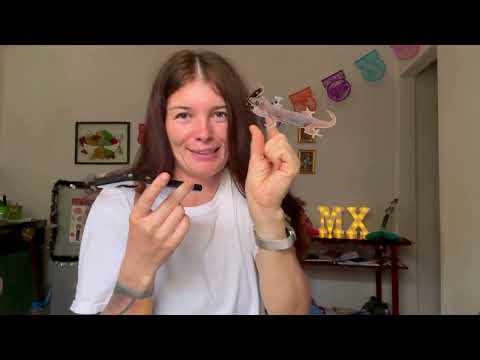 Видео: Грустная история о работе в Мексике