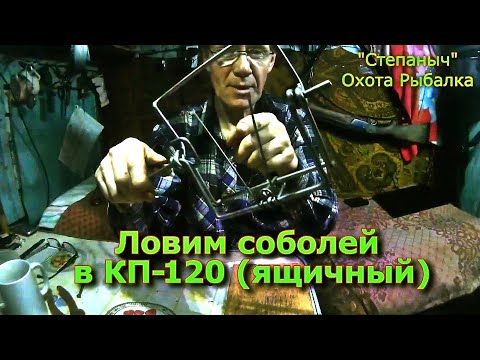 Видео: Ловим соболей в "КП-120 ящичный" третий год. Отличный капкан.