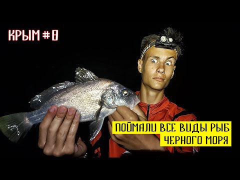 Видео: САМАЯ ЯДОВИТАЯ РЫБА ЧЕРНОГО МОРЯ! СЫН МЕЧТАЛ ЕЁ ПОЙМАТЬ! Севастополь 2021 Рыбалка на спиннинг