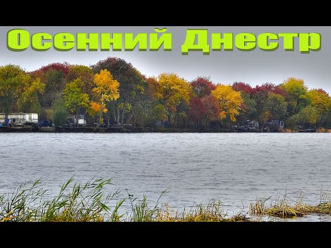Видео: Осенний Днестр, рыбалка 2022.