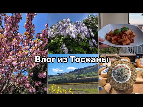 Видео: Тоскана в Апреле. Апельсиновый Сад. Паста Болоньезе. Сыр и Вино