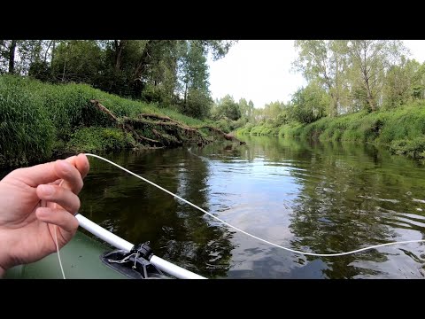 Видео: Открытие нахлыстового сезона 2024. Ловим голавля на р. Вопь. 4к.