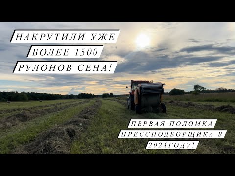 Видео: Птица, крс, мрс, свиньи- да еще и на сенокос успеть! Убрали первую партию уток! Молодая ферма!