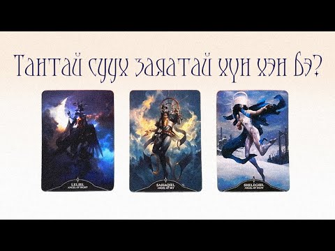 Видео: [Таро] Та хэнтэй суух вэ? Тэр хүн мөн үү? 👰🤵🕊️(Цаглашгүй + Э.Ш. + Нэмэлт)