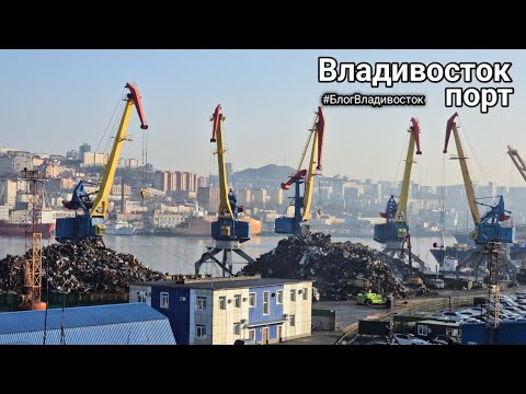 Видео: Виды на город Владивосток и порт с секретной видовой. #БлогВладивосток ищи в тг и вк и рт и дзен