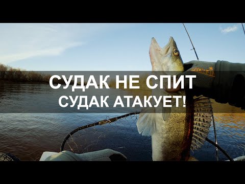 Видео: Снова попали на клёв СУДАКА! Рыбалка в Тюмени. Рыбалка 2020.