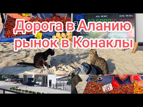 Видео: Рынок в Конаклы.