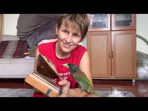 Видео: Птиц учится играть на калимбе. Кушает дыньку и бурчит на Лай. Наш выходной день.