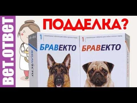 Видео: Бывают ли подделки Бравекто? Средство от глистов. Вет Ответ.