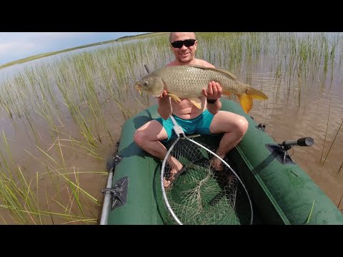 Видео: Ловля Крупных Карпов на Безымянном Озере