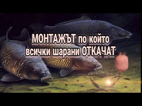 Видео: МОНТАЖЪТ по който всички Шарани ОТКАЧАТ