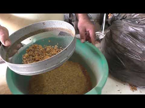 Видео: Ступа для табака. Дедовский способ измельчения табака.