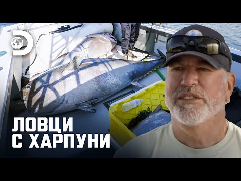 Видео: Това е чудовище! | Ловци с харпуни