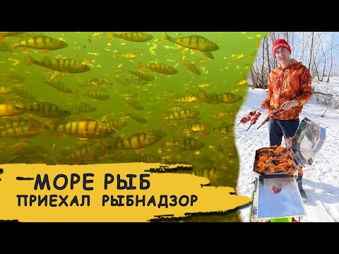 Видео: Подводная охота и баня. Новая печь Мобиба Медиана8 и Парафон4