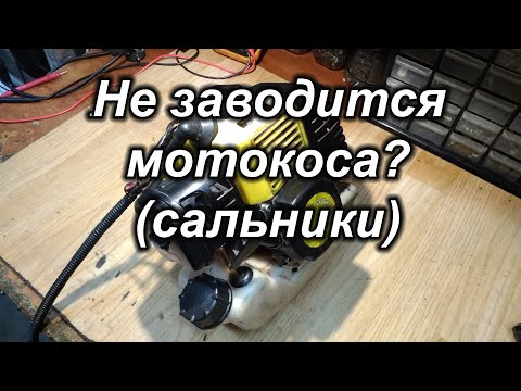 Видео: Не заводится мотокоса?