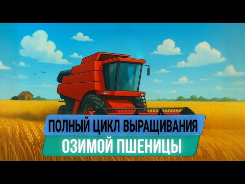 Видео: ГОД С ПШЕНИЦЕЙ: ТЕХНОЛОГИЯ выращивания озимой пшеницы ШАГ ЗА ШАГОМ