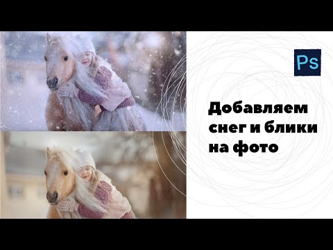 Видео: Девочка с лошадкой   4K