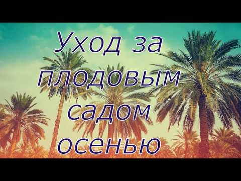 Видео: Уход за плодовым садом осенью