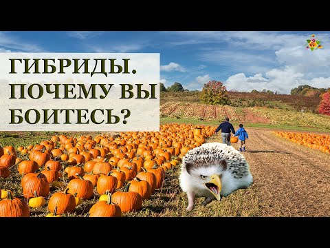 Видео: ГИБРИДЫ. ЗА или ПРОТИВ?/ Что такое гибриды, откуда они и как мы их используем?