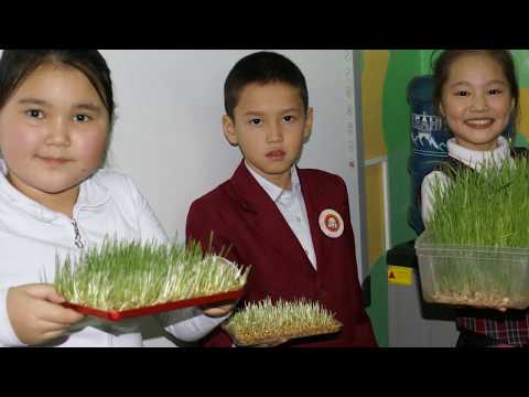 Видео: Проект "Как колосок стал хлебом" 4 - Е класс