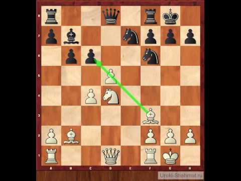 Видео: Ловушки в дебюте  Северный гамбит