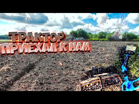 Видео: Находки радуют! Коп в древнем селе!