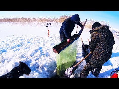 Видео: Намыли МОРМЫШ  Комбайном  Зимой в -30/ Едем на РЫБАЛКУ Ловить Рипуса оз.ИНГОЛЬ!