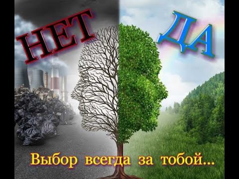 Видео: ПАН110 Выращивание триходермы из биогумуса. Субстрат червей и триходерма биогумус
