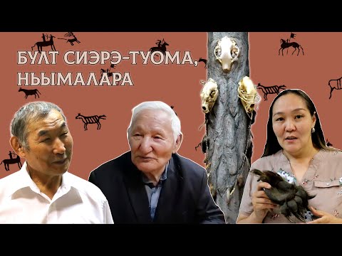 Видео: Булт сиэрэ-туома, ньымалара | САХА СУОЛА