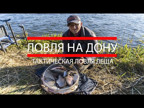 Видео: Рыбалка на реке Дон.  Тактическая ловля леща. Рыбалка 2020