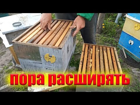 Видео: Постановка второго корпуса в улье для майского меда. Как расширять пчел в корпусном улье Дадан.