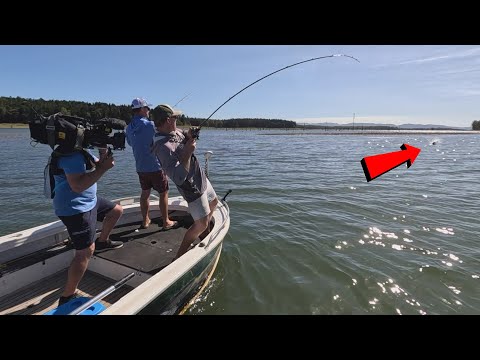 Видео: В погоне за самой знаменитой рыбой Австралии! (Рыбалка с поверхности)