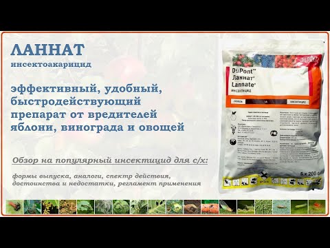 Видео: Ланнат - эффективное средство против большинства вредителей и клещей плодовых деревьев и овощей