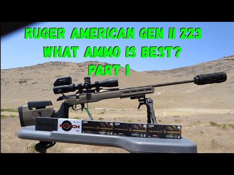 Видео: Тест патронов Ruger American Gen II Predator 223 Rem, часть 1