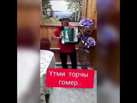Видео: Илдус Хадиев."Үтми торчы гөмер".Гармунда татарча жырлар.