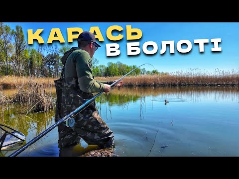 Видео: КАРАСЬ В БОЛОТІ! ВСЯ РИБА НА МІЛЯКУ 20СМ! Рибалка на Боковий кивок!