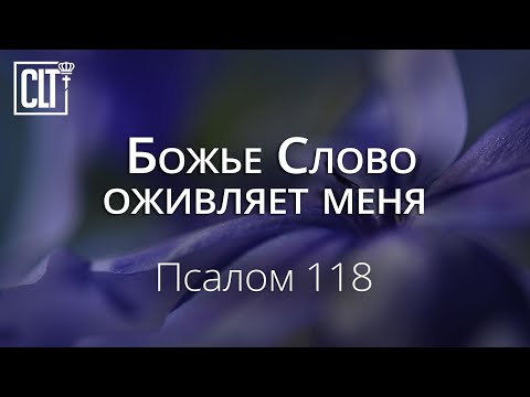 Видео: Божье Слово оживляет меня | Псалом 118 | Библия