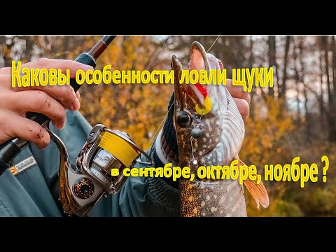 Видео: Каковы особенности ловли щуки в сентябре, октябре, ноябре ?