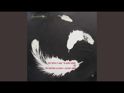 Видео: Морето се завръща