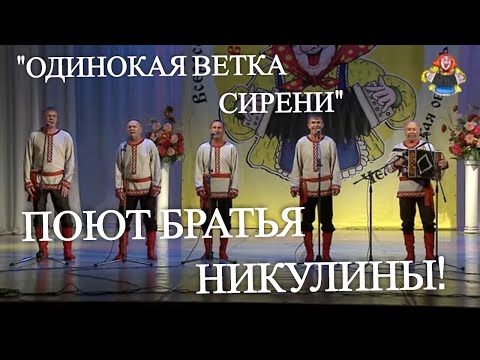 Видео: " ОДИНОКАЯ ВЕТКА СИРЕНИ " Поют братья Никулины . НАСТОЯЩИЙ НАРОДНЫЙ ХИТ! в гостях у "Митрофановны"