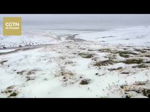 Видео: Мастерство ремесленников Серия 1 Меховая одежда из заснеженных гор [Age0+]