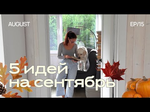 Видео: 5 ИДЕЙ НА СЕНТЯБРЬ для уютной осени 🍂🪵 идеи на осень, чем заняться осенью, планы на осень