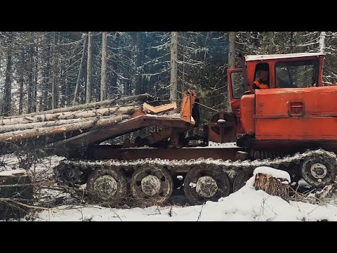 Видео: "МОРОЗ -25" РАБОТАЕМ В ЛЕСУ НА ТДТ 55 ТРЕЛЕВОЧНИК | УРАЛ 4320